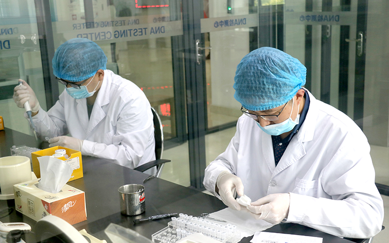 浙江省私下做DNA鉴定怎么做,浙江省隐私DNA鉴定的流程 浙江省私下做DNA鉴定怎么做,浙江省隐私DNA鉴定的流程