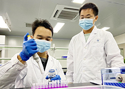 在浙江怀孕了需要怎么做孕期亲子鉴定，浙江办理怀孕亲子鉴定准确吗