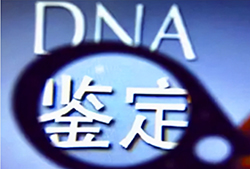 在浙江哪些医院能办理血缘检测，浙江医院做DNA亲子鉴定如何办理