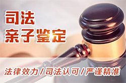 浙江司法亲子鉴定如何办理，浙江权威司法亲子鉴定中心