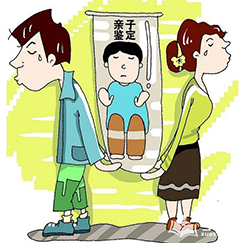 浙江隐私亲子鉴定要多少钱，浙江隐私亲子鉴定流程是什么