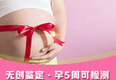 浙江怀孕9周如何办理DNA亲子鉴定,浙江怀孕亲子鉴定多少钱 浙江怀孕9周如何办理DNA亲子鉴定,浙江怀孕亲子鉴定多少钱