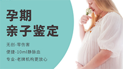 浙江孕期如何办理血缘检测，浙江孕期亲子鉴定需要的材料