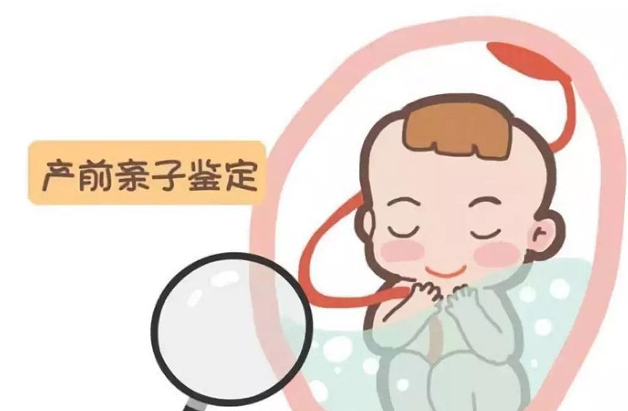 在浙江怀孕了需要怎么做孕期亲子鉴定,浙江办理怀孕亲子鉴定准确吗