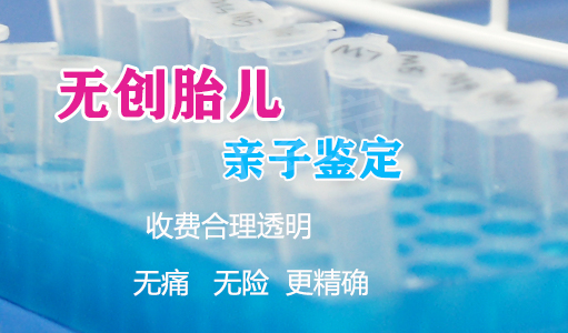 浙江怀孕如何办理亲子鉴定,浙江产前办理亲子鉴定办理指南 浙江怀孕如何办理亲子鉴定,浙江产前办理亲子鉴定办理指南