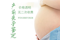 浙江怀孕47天可以做怀孕亲子鉴定吗（预约办理），浙江做无创怀孕亲子鉴定要多少钱