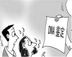 浙江省哪家医院能办理亲子鉴定